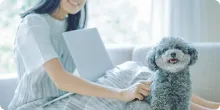 大好きなペットと暮らす | New Praie(ニュープライエ) 夢を叶える規格住宅